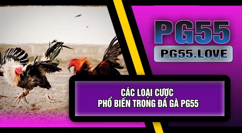 Các Loại Cược Phổ Biến Trong Đá Gà PG55