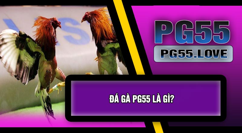 Đá Gà PG55 Là Gì?
