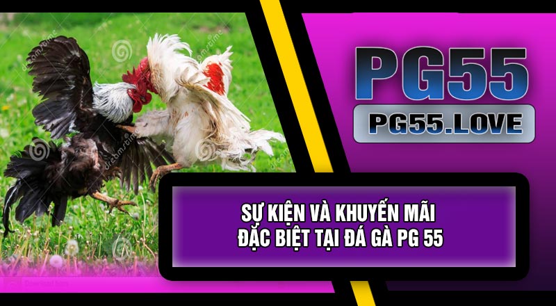 Sự Kiện Và Khuyến Mãi Đặc Biệt Tại Đá Gà PG 55